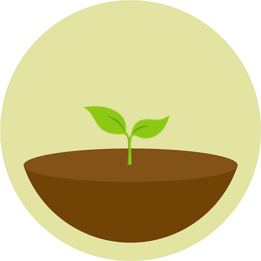 A newly planted Forest sapling — step 1 of a focus session