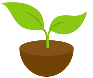 sapling